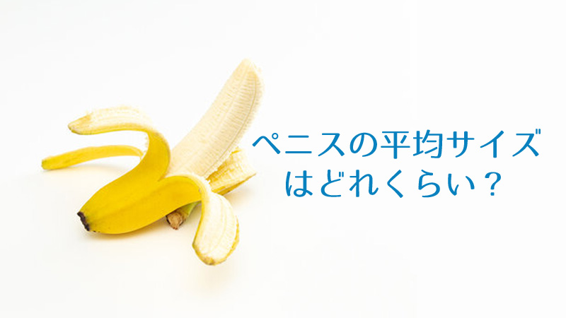 日本人のペニスの平均サイズはどれくらい？気になるサイズ事情を解説